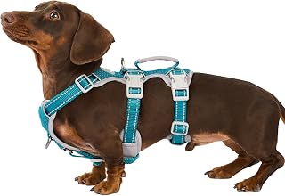 Huntboo Sicherheitsgeschirr Hund Ausbruchsicher, Panikgeschirr für Hunde, Reflektierendes Geschirr mit Gepolstertem Griff, Verstellbare Weste für Kleine Hunde, die Spazieren Gehen (Blau,XS)