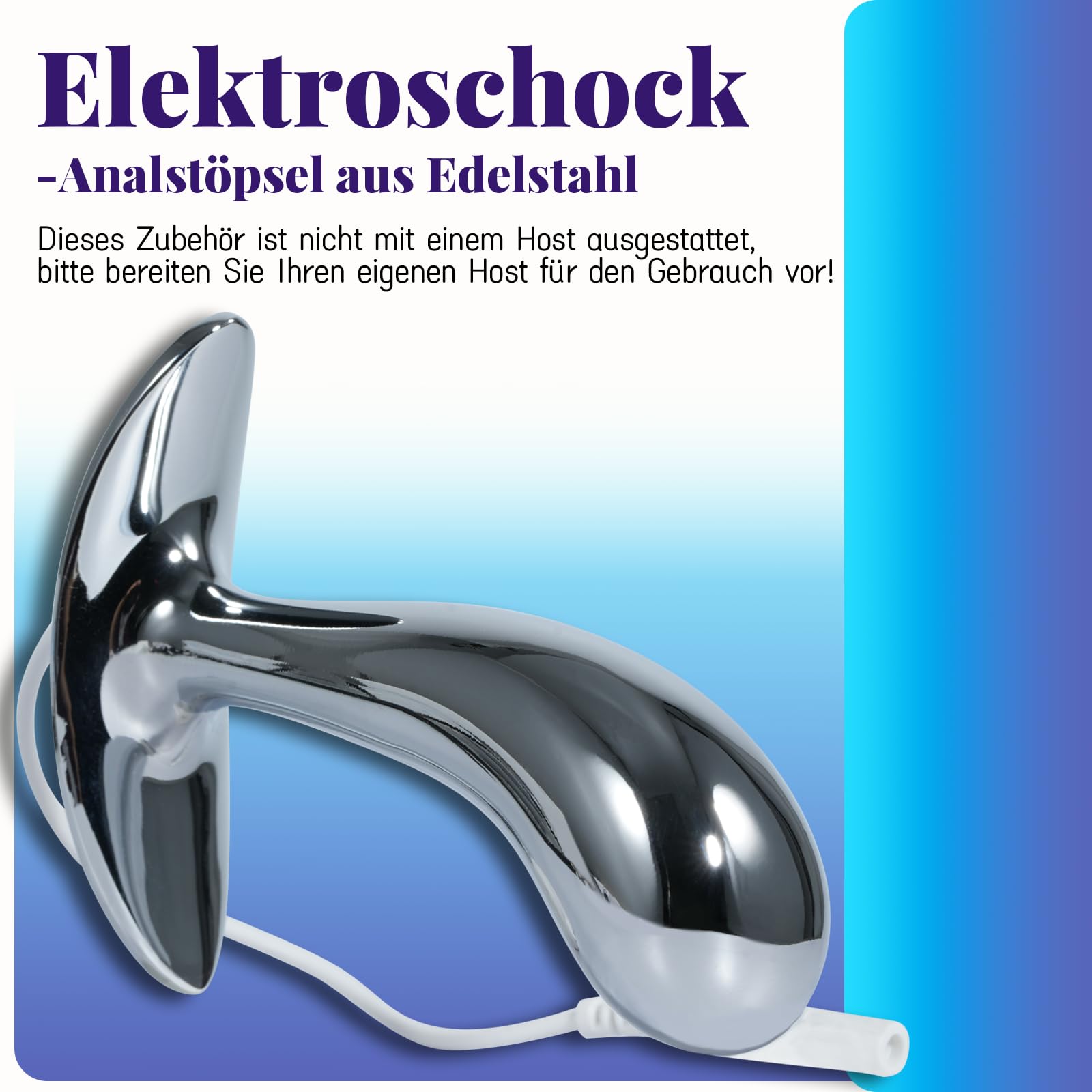 AMAZBEE Electroshock Sex Toys for Prostate Massage Analplug Sex Products Connected to a Power Source Stainless Steel Butt Plugs for Couples for Women (L)