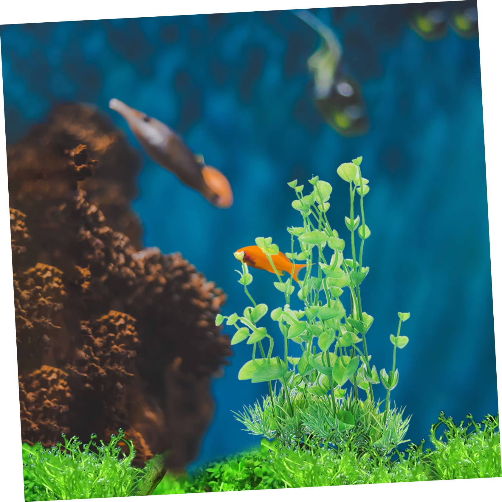 Sosoport 5 Sätze Aquarienlandschaft Aquariengras Wasser- Aquarium Pflanzen Panzer Teich Bausatz Aquariumdekorationen Klein Kleine Pflanzen Aquarienpflanze Betta-Blatt Plastik 2 Stück * 5