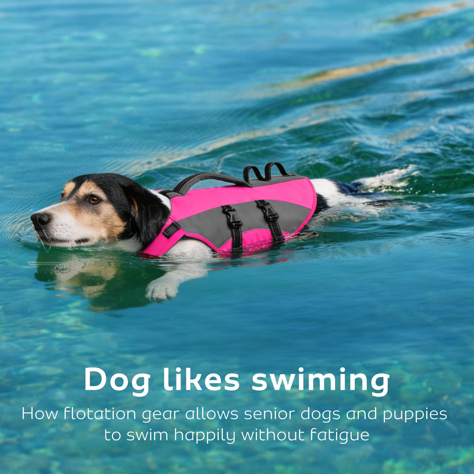 CITÉTOILE Hunde Schwimmweste mit Griff und Reflektierend, Einstellbare Rettungsweste für Kleine Mittel Große Hunde, Langlebigem für Wassersport Schwimmen und Bootfahren, Rosa, M