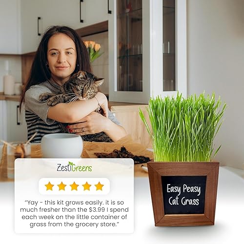 Miniatura 5 de Hierba para gatos de interior con 3 macetas de madera, semillas orgánicas certificadas y tierra. Regalos para gatos que les encantarán. Kit de