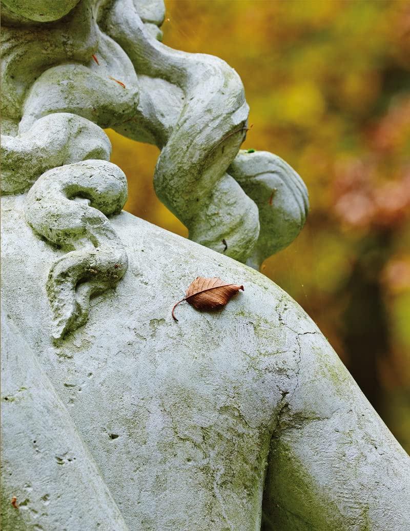 Flora, Fauna, Gartenfreude: Das Gartenreich Dessau-Wörlitz im Kreislauf der Natur UNESCO WELTERBE