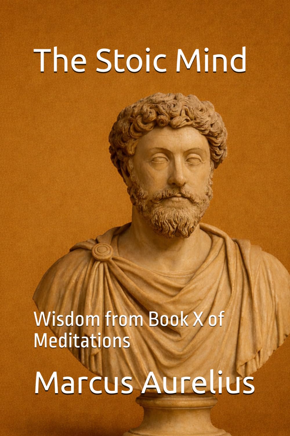 The Stoic Mind: Wisdom from Book X of Meditations (Modern Stoic Wisdom)