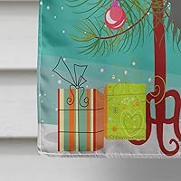 Vista 757 de Caroline's Treasures BB4243GF Bandera de jardín con texto en inglés «Merry Christmas» con texto en inglés «Merry Christmas», bandera decorativa