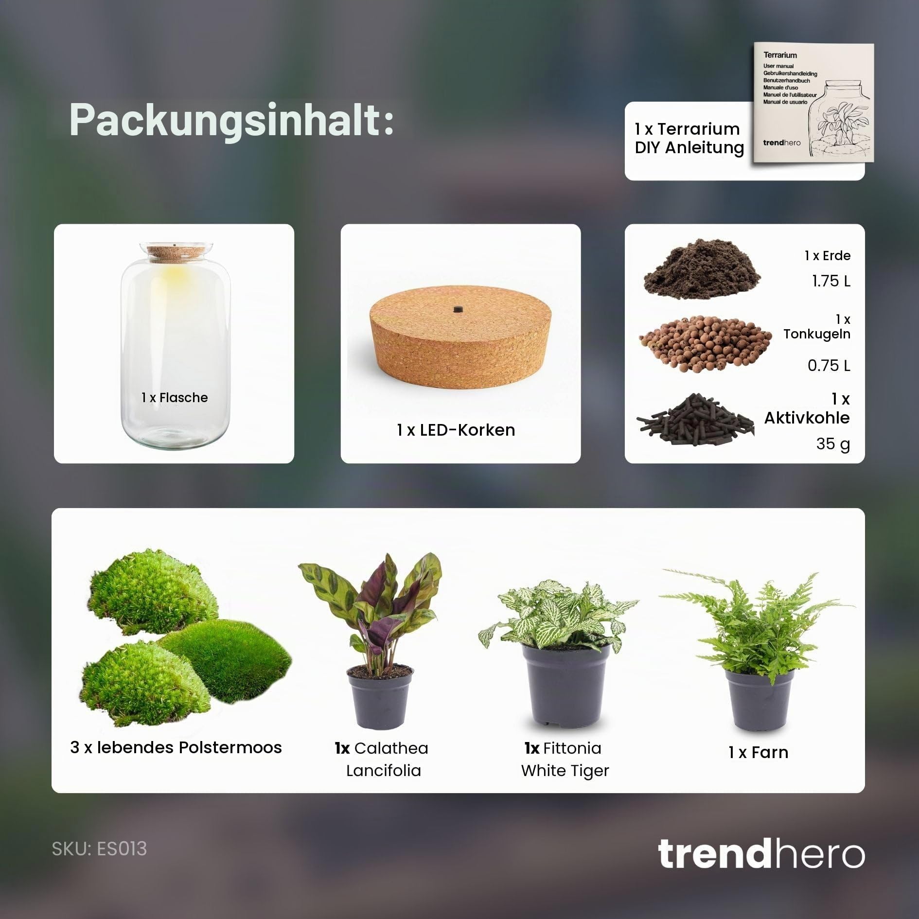 urbanjngl - Sven XL Botanisches Terrarium mit Licht – DIY Kit für Pflanzenökosystem, Ø 23 cm, Höhe 43 cm, ideal für Pflanzenliebhaber und Dekoration