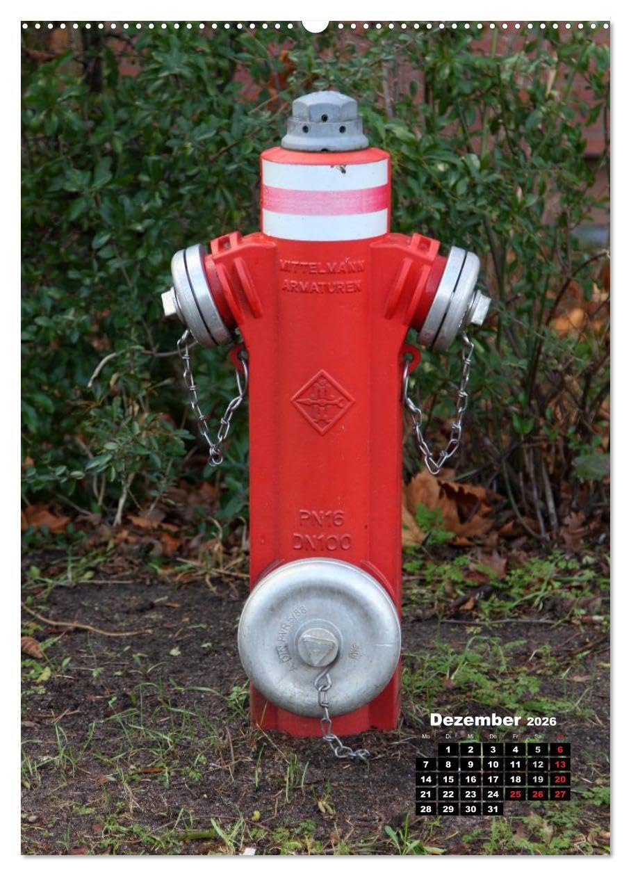 Nostalgie Hydranten (hochwertiger Premium Wandkalender 2026 DIN A2 hoch), Kunstdruck in Hochglanz: Hydranten am Straßenrand (CALVENDO Technologie)