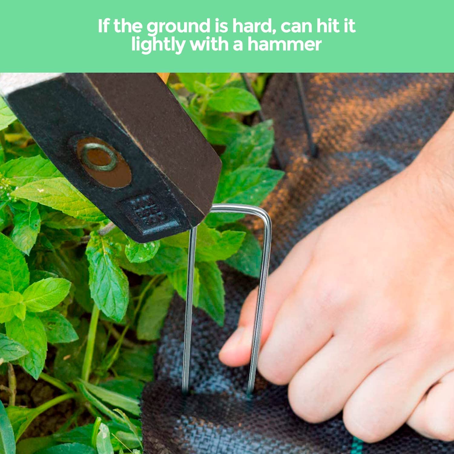 Ediesi, Picchetti Giardino, Telo Pacciamatura, 100 Unità + 16 Rondelle, 150x30x3mm, Da Campeggio, Tenda, in Acciaio, Erba Artificiale, Fissaggio per Campeggio (100)