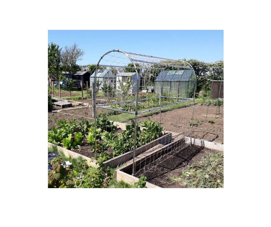 Pea and Bean Domed Frame Garden Outdoor Plant Support Structure (1.5m)