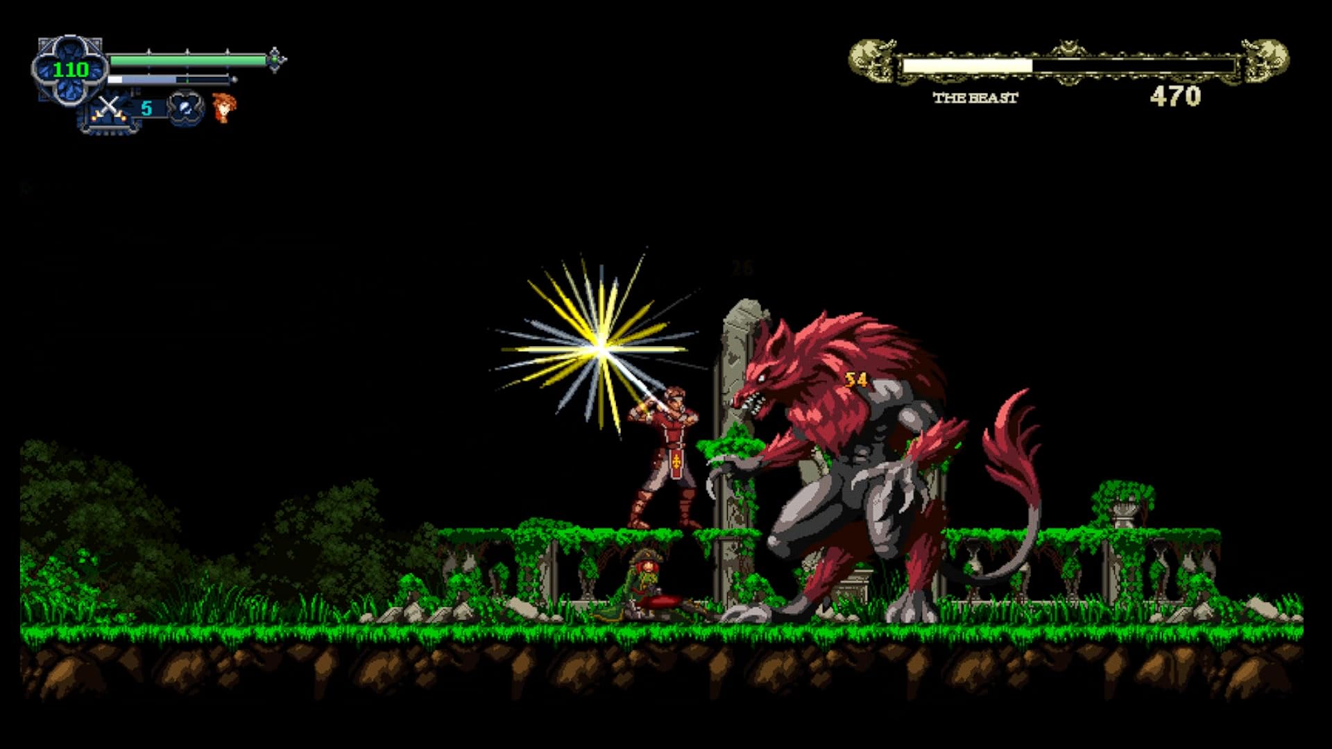 Chronicles of the Wolf - Nintendo Switch : Amazon.ca: Video Games