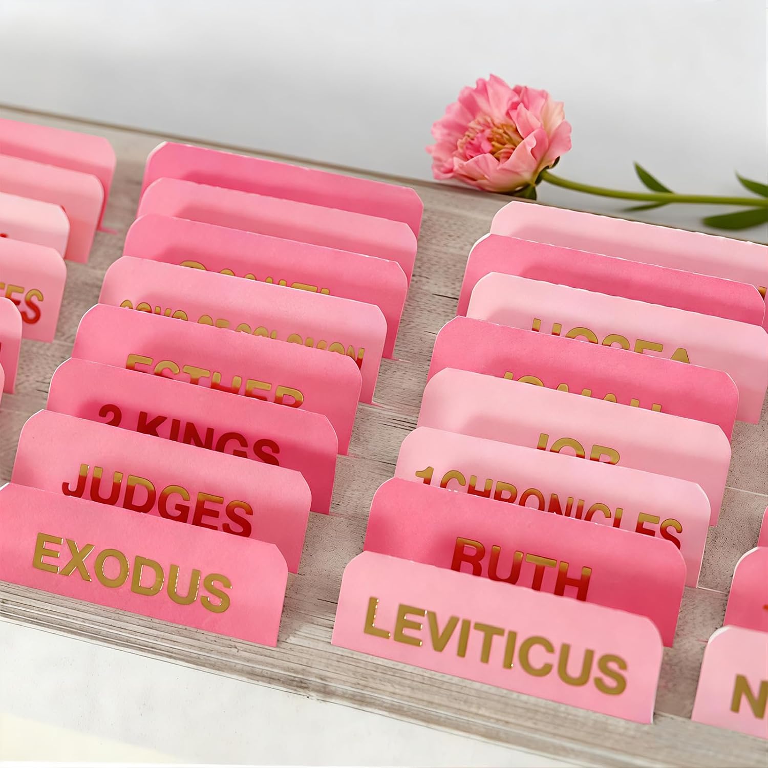 Vorscrin-Laminated Bible Tabs for Women and Men, Gold Foil Lettering Design, Reposition and Large Print Stickers, Bible Study Supplies, 90 Chapters Labels for Easy Navigation(Pink)