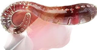 Reiki Infused Clear Yon Glass 7.5" DOTED nd GROVED Clear Yoni Wand Multipurpose Pressure Massage wand | Yoni wands | Shakti wands | Glass wand | Healing wands | Yoni Massage Wand/Goddess Glass Wand