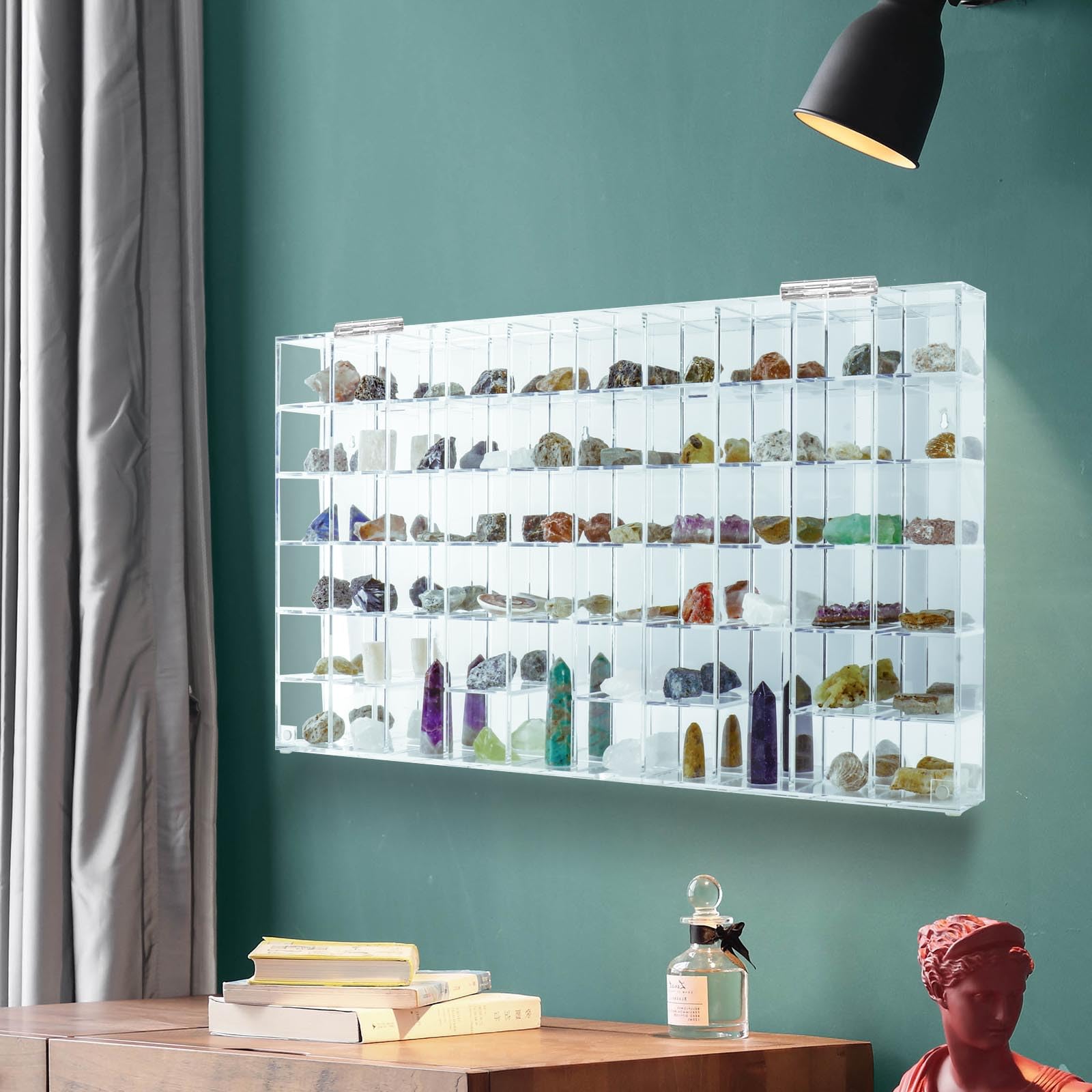 Amazon.com: Adjustable Seashell Display Case Box Large Rock Fossil