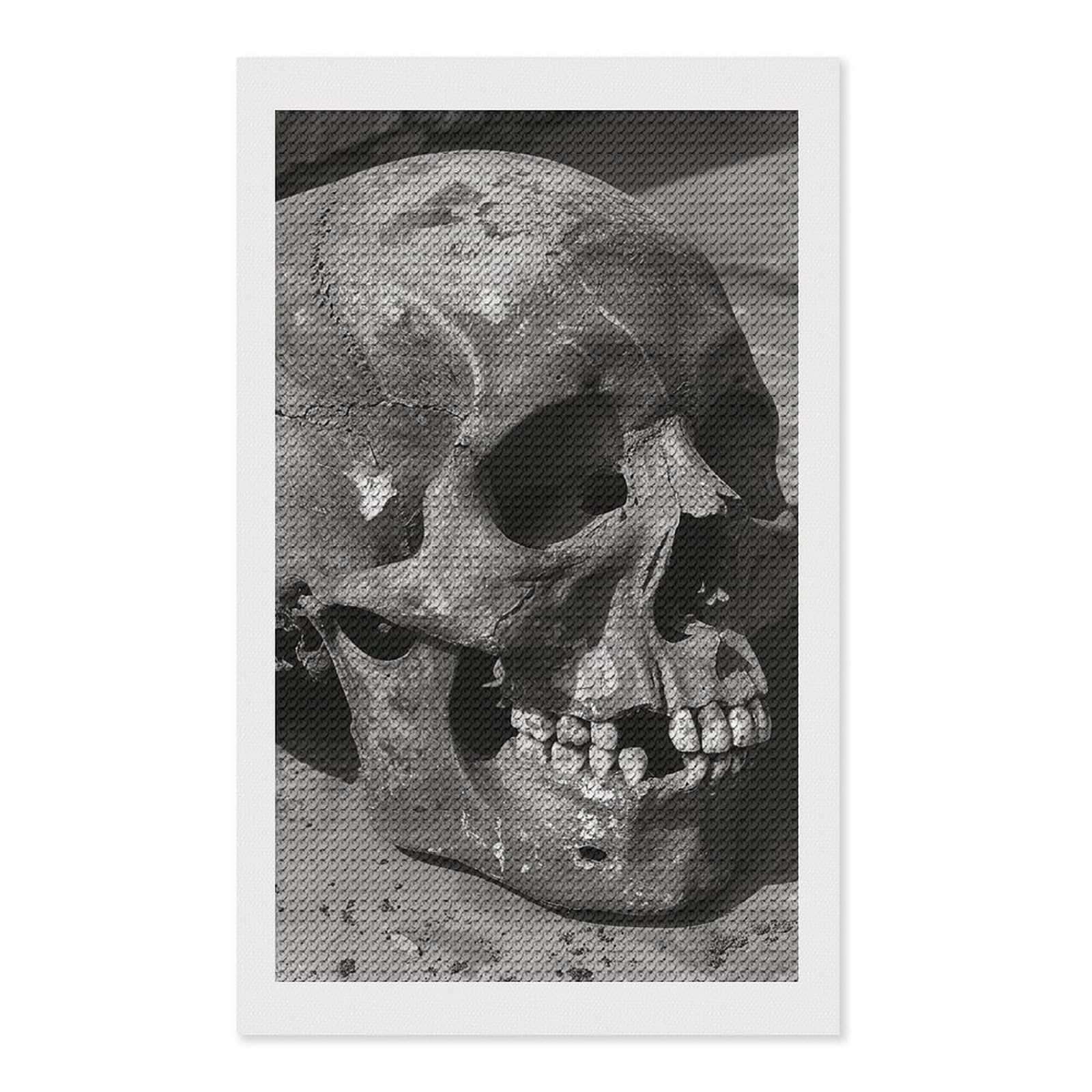 Ancient Human Skull Diamond Art Kits for Adults, DIY 5D Diamonds Painting Kits for Beginner, Round Full Drill Diamond Dots Painting, Diamonds Pictures Gem Art and Crafts Wall Decor 12"x20"