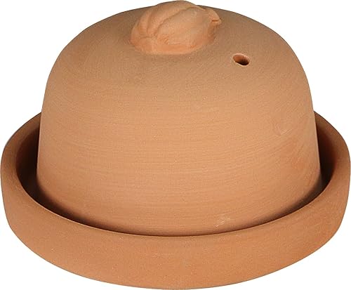 Eurita by Reston Lloyd Terra Cotta - Tostador de ajos, natural