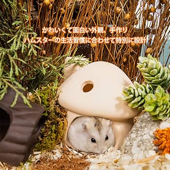 Amazon | HIGHAWKハムスター ハウス 陶器 寝床 おうち おへや 夏用