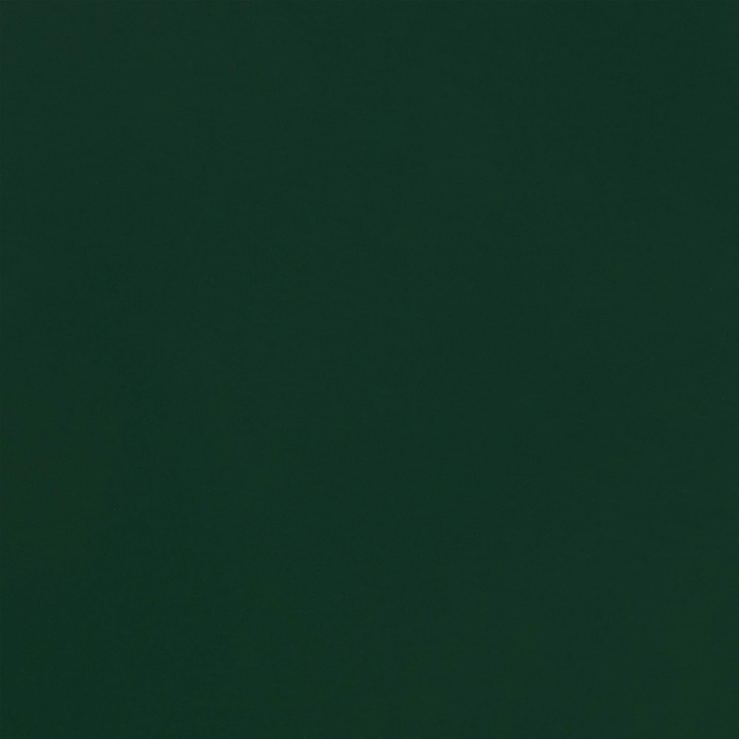 MARTHA STEWART Paint & Primer 8oz Spray Paint, Gloss Seaweed (42896)