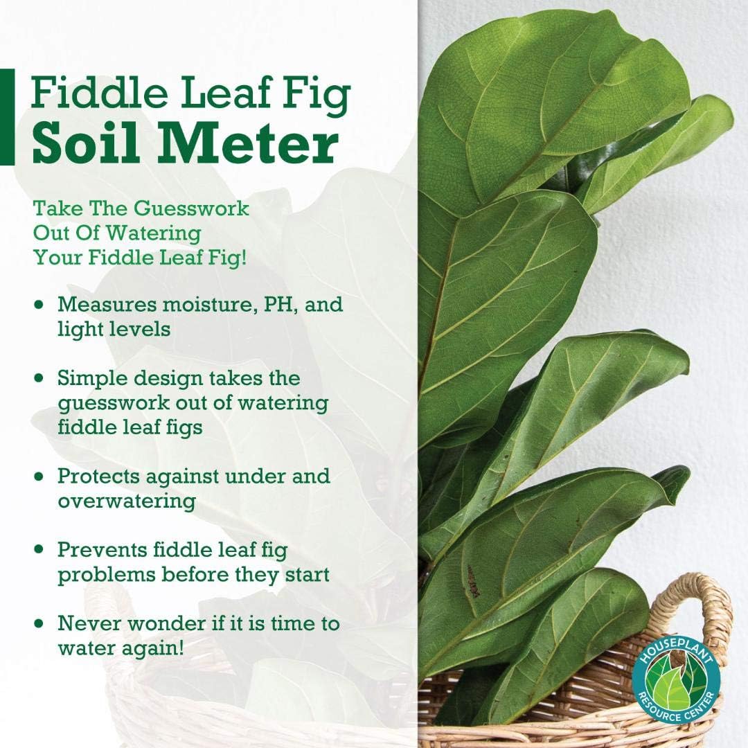 Fiddle Leaf Fig Plant Food Soil Meter for Fiddle Leaf Figs – 3 in 1 pH/Moisture/Light Meter Promotes Robust Plant Growth and Health Through Proper Watering, Sunlight and Nutrition