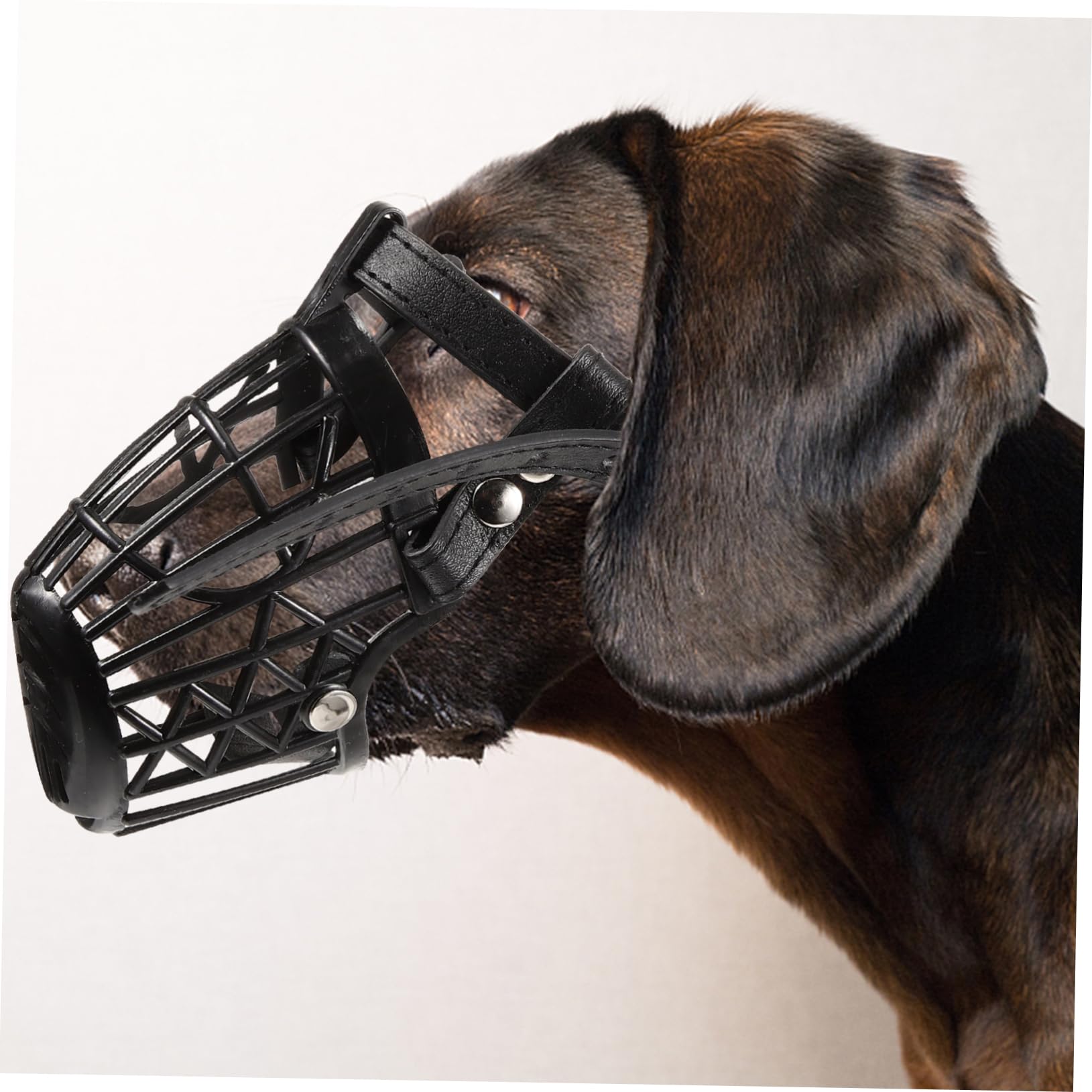INOOMP Museruola per Cani in Plastica con Cestello Regolabile e Cinturino in Pelle Pu Nero, Set da 7 Unitá Anti-morso Traspirante per Cani e Animali Domestici