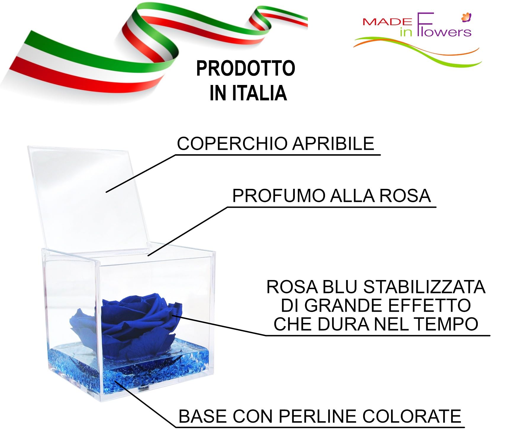 Texo di Claudio Rosso rosa vera blu, regalo donna anniversario festa pensiero mamma cerimonia dono, dura per sempre, stabilizzata e profumata in cubo 8x8x8