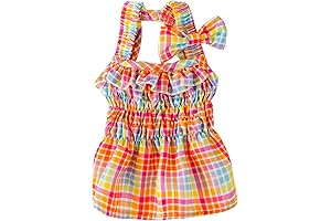 Colorful Rainbow Dog Skirt for Large Dogs