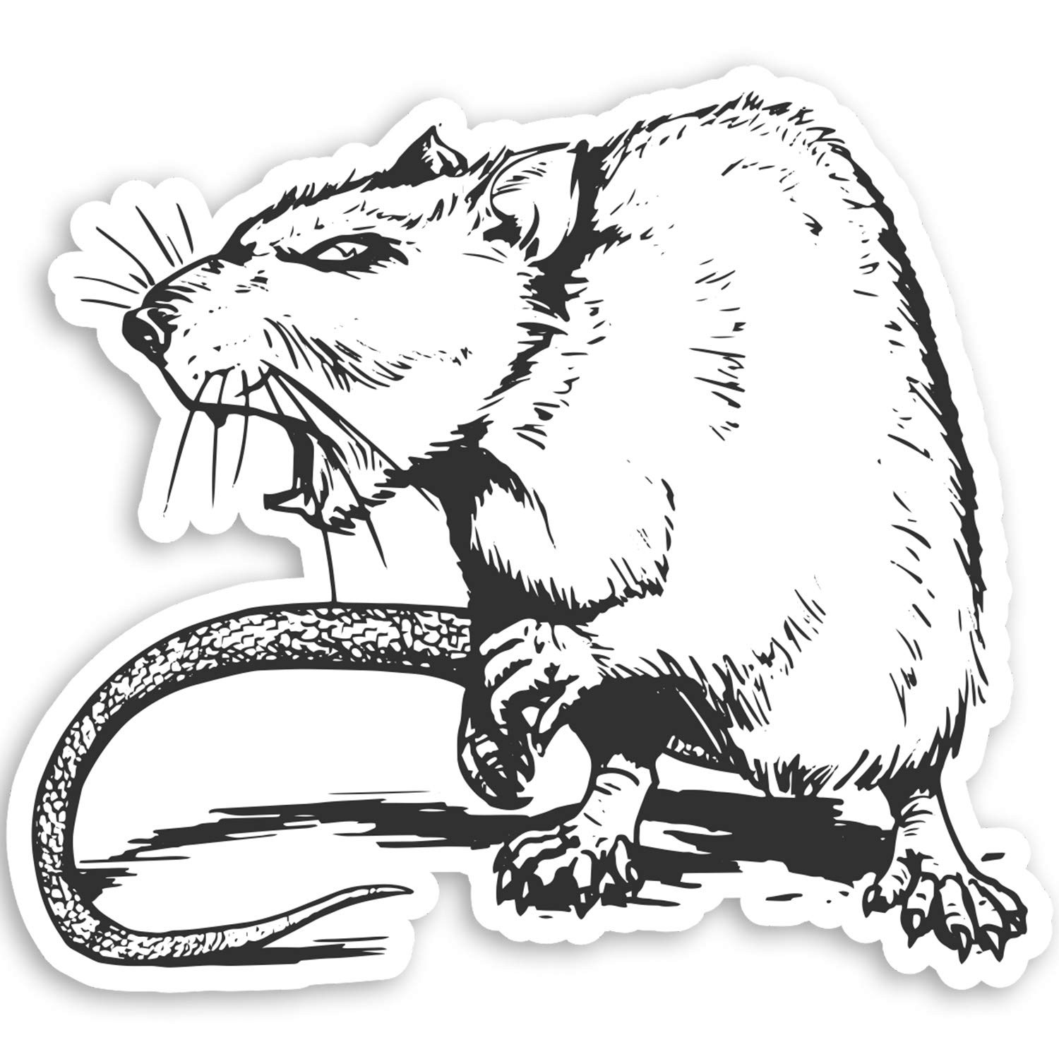 Destination Vinyl Ltd Multi 2 X 10Cm Angry Rat Vinyl Stickers - Rodent Evil Rats Scary Laptop Sticker #20975 (10Cm Wide)