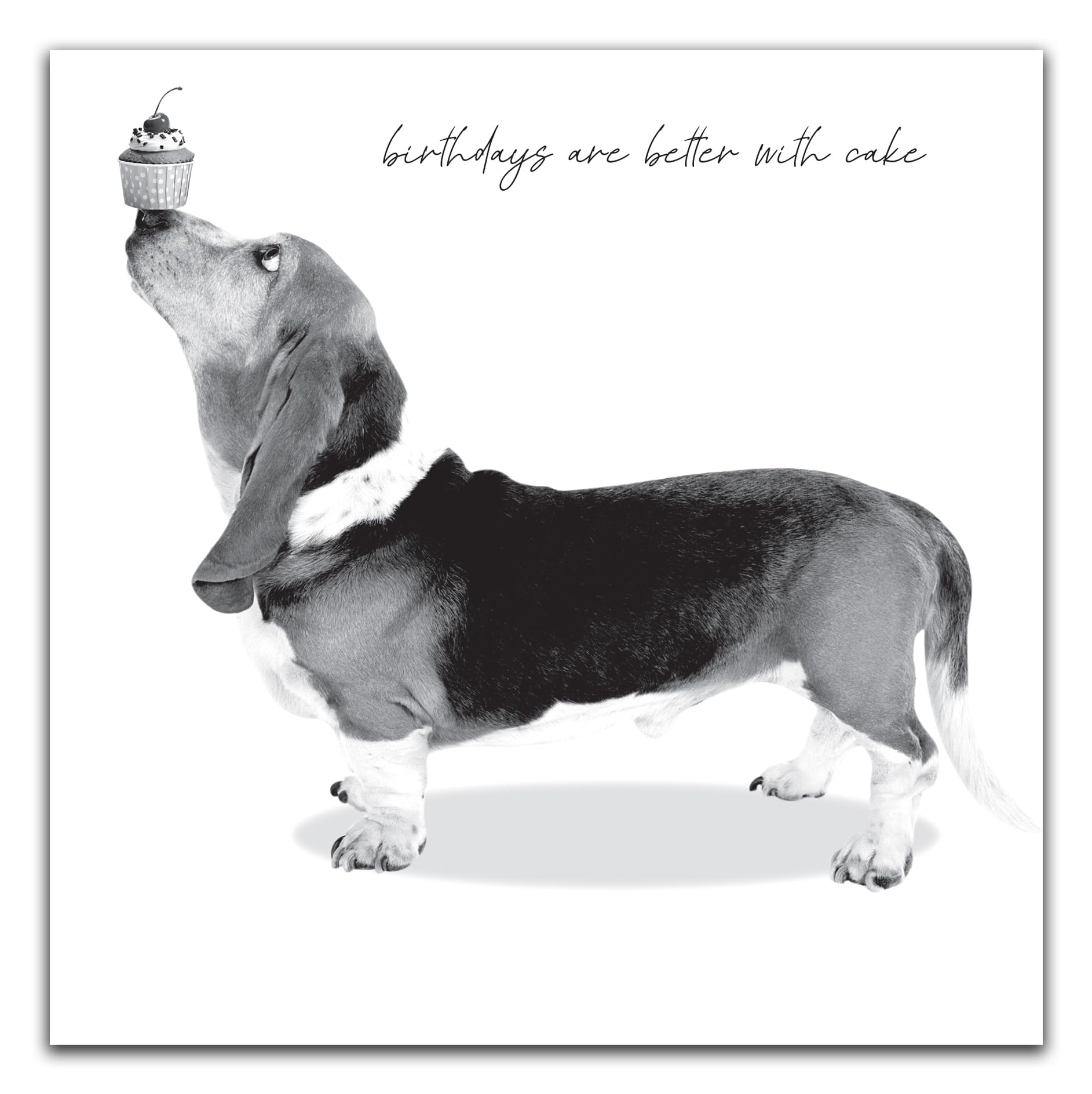 coverme571 Funny Birthday Card For Him,Black & White,133x133mm