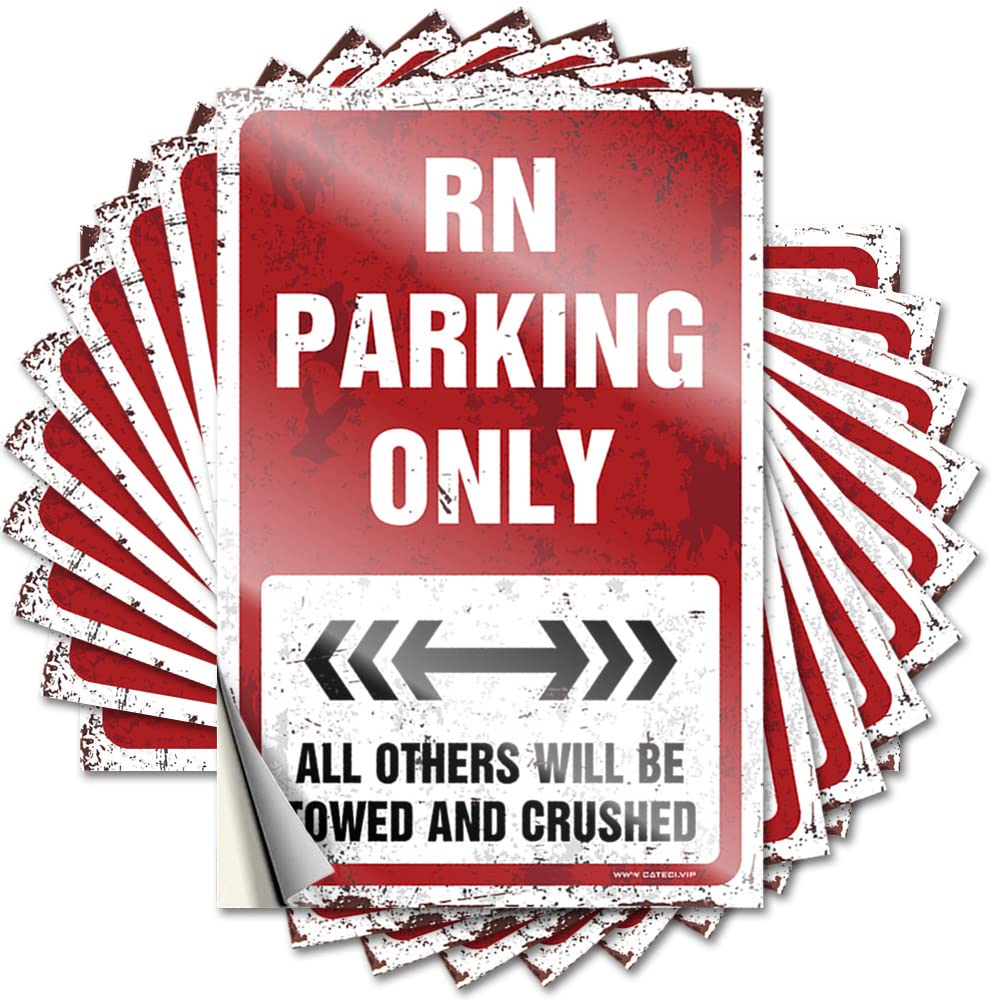 Decal Van | Inspirational Laptop Rn Parking Only for Winter(6X9CM)