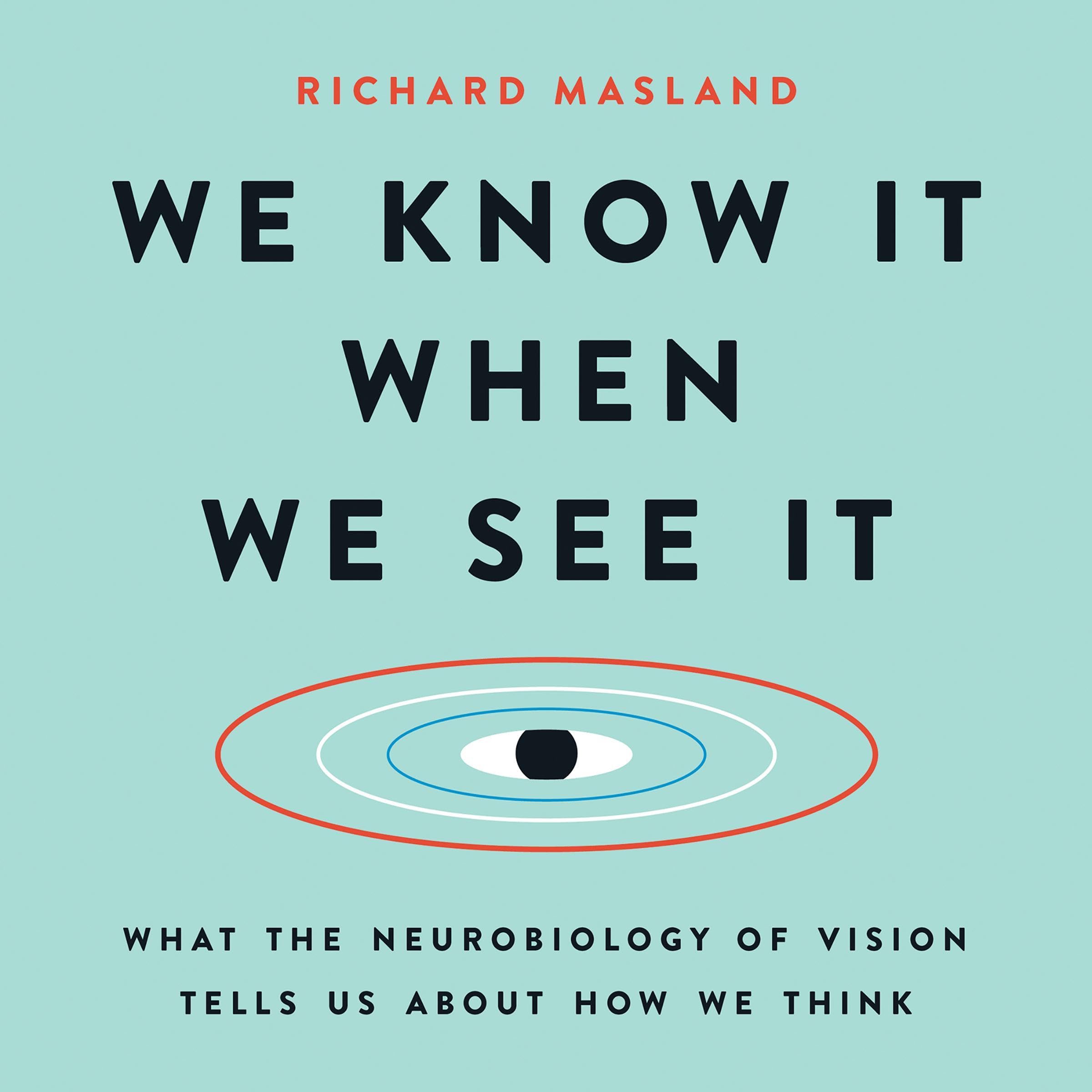 Cover art for We Know It When We See It