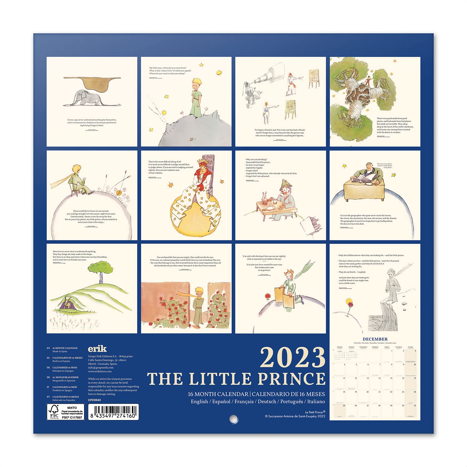 Calendrier Mural 2026 Le Petit Prince - Format 30x60cm, Papier 140g, Multilingue, Parfait Pour Bureau Ou Maison