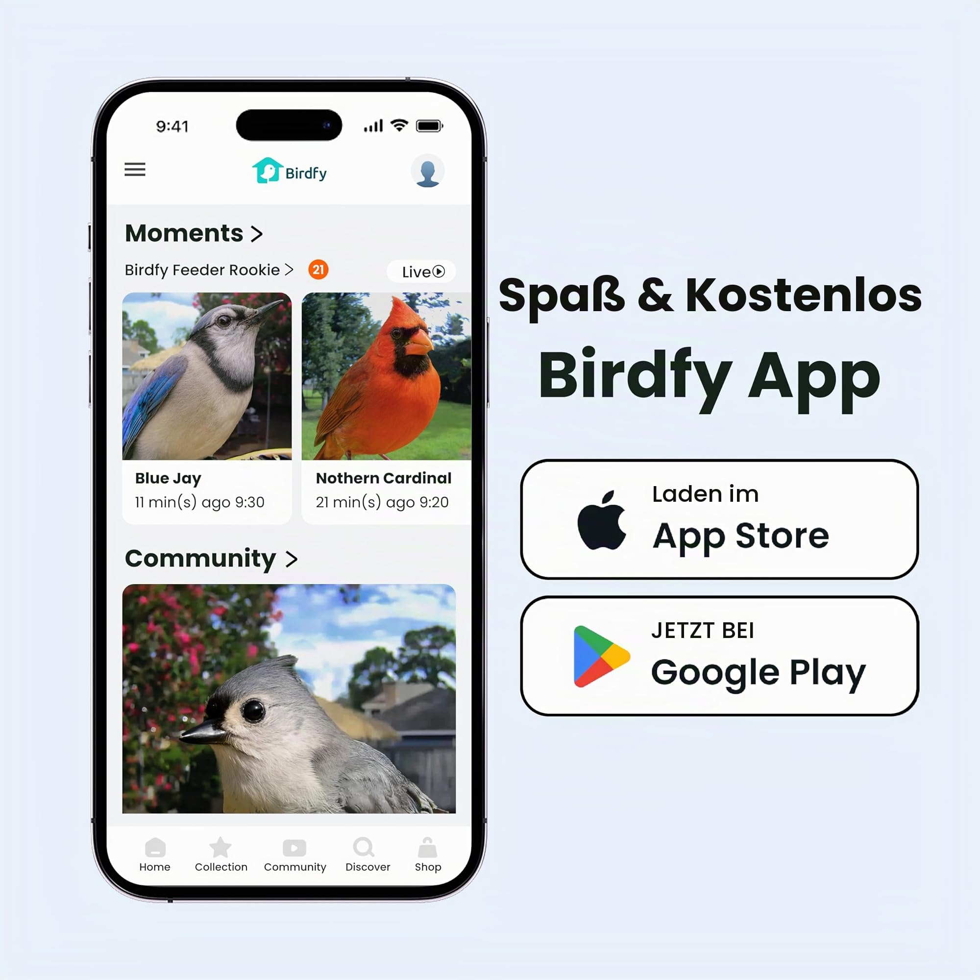 Birdfy Smart Vogelfutterhaus mit Kamera für Anfänger, Vogelfutterspender mit Nachtsicht, KI Vogelerkennung kostenlos, IP66 Wasserdicht für Vogelliebhaber