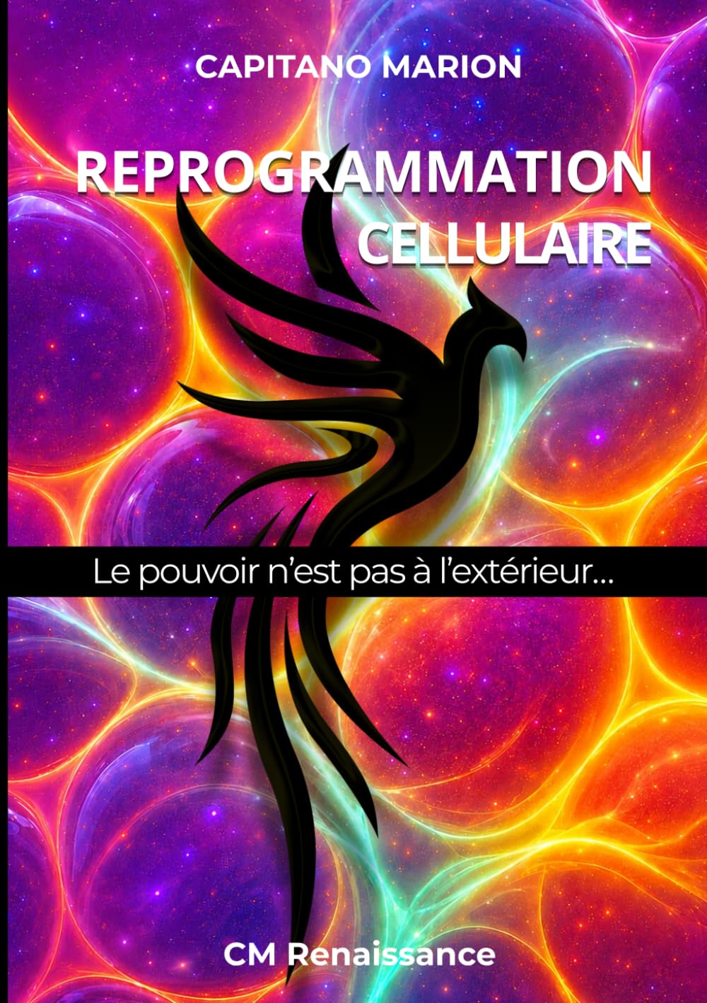Reprogrammation Cellulaire: Le pouvoir n’est pas à l’extérieur