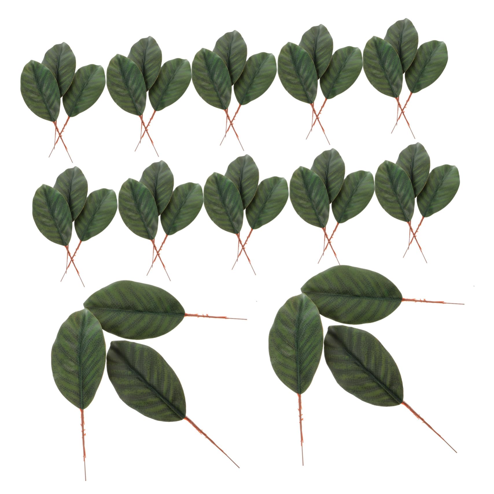 COLLBATH 2 Set Di Foglie Finte Flessibili Singole Foglie Di Magnolia Per Composizioni Decorative Resistenti Alla Sbiadimento 30 Pezzi * 2