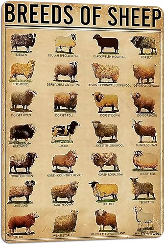 PAIION Cartel de metal con diseño de ovejas con texto en inglés "Sheep Knowledge" (razas de ovejas), decoración retro, para escuela, granja,