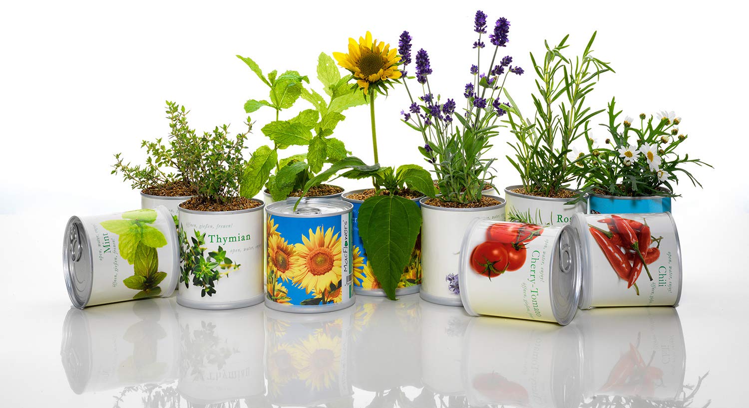 Anzuchtset Mit Edelweiß – Süße Blumendose, Alles Enthalten, Geschenkidee