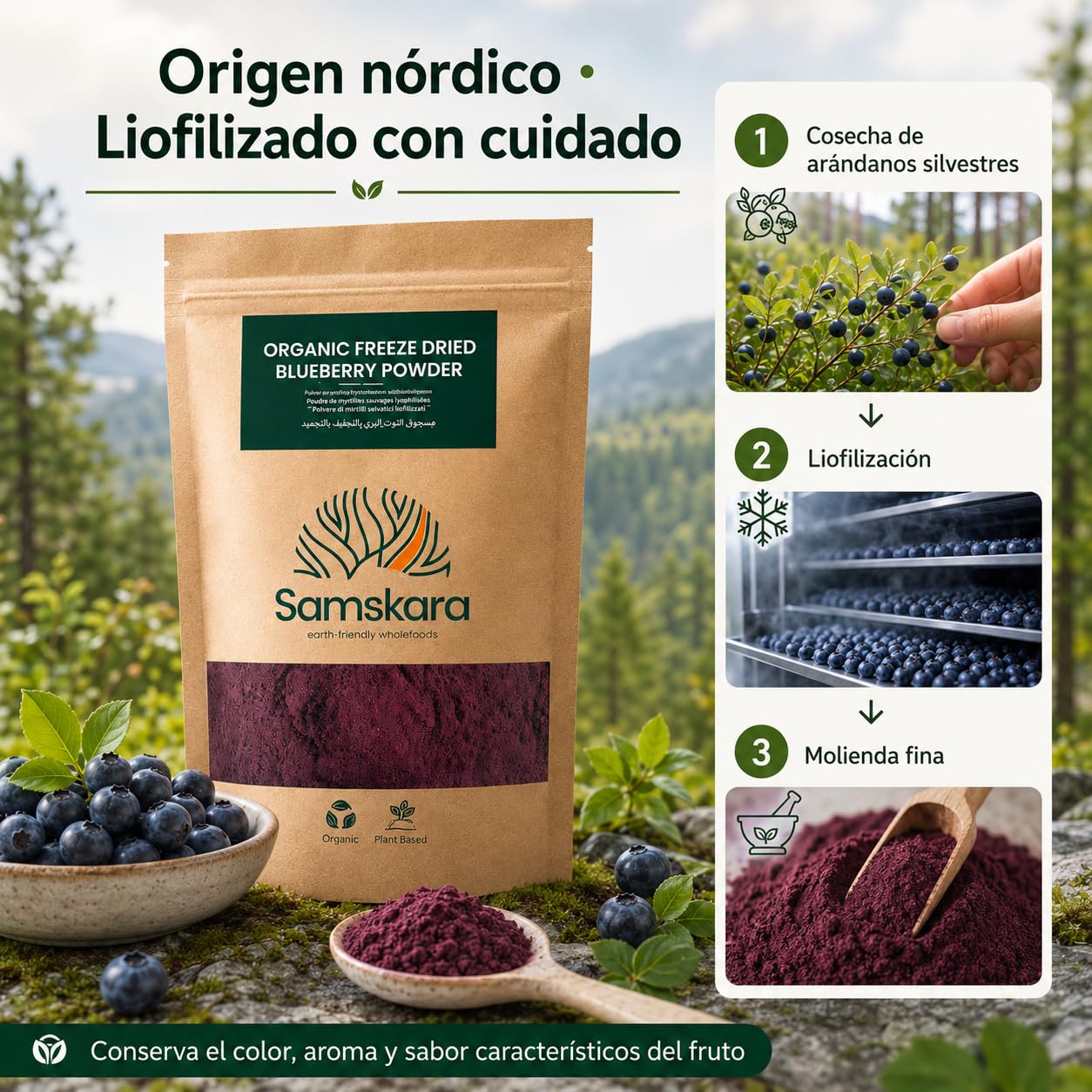 Arándanos salvajes nórdicos en polvo BIO | Samskara Tribe | bayas liofilizadas, sin OGM y sin endulzar, ricas en antioxidantes | para usar en batidos y repostería (150 g)