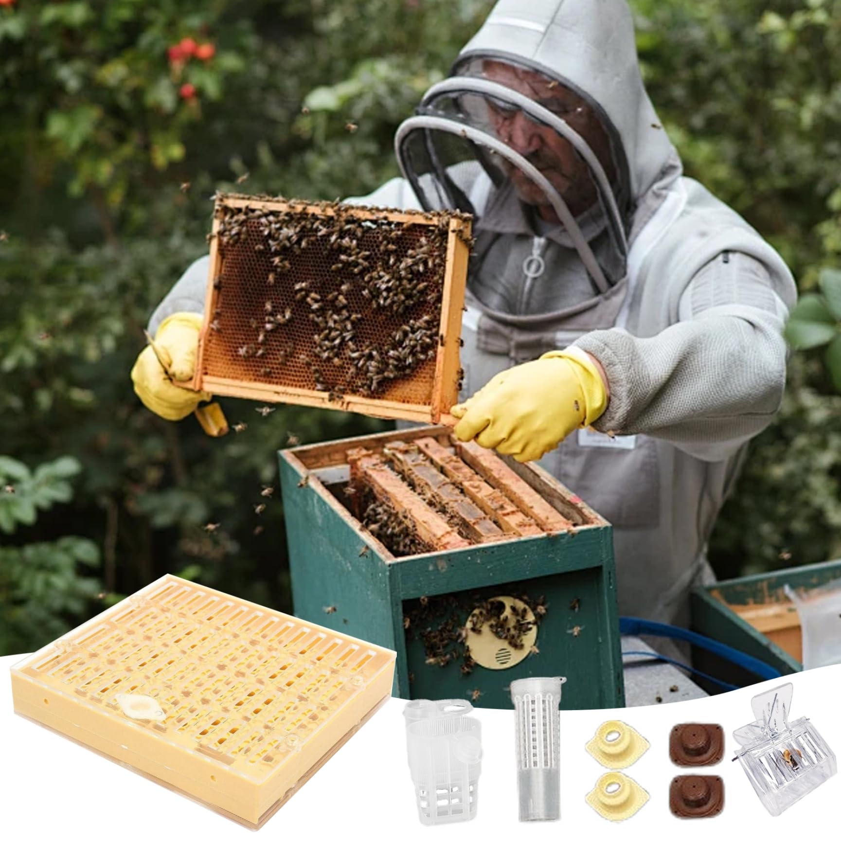 Bienenzucht-Starter-Set, Königin-Aufzucht-Set, komplettes Bienenzucht-Starter-, einschließlich Königin-Aufzuchtbox, Zellbechern und beweglichem Veredelungswerkzeug-Ausschluss