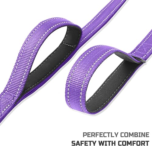 Miniatura 4 de Bolux Correa para perro de 5 pies, correa de cuerda resistente con 2 asas acolchadas, correa de entrenamiento de mascotas con doble asa reflectante