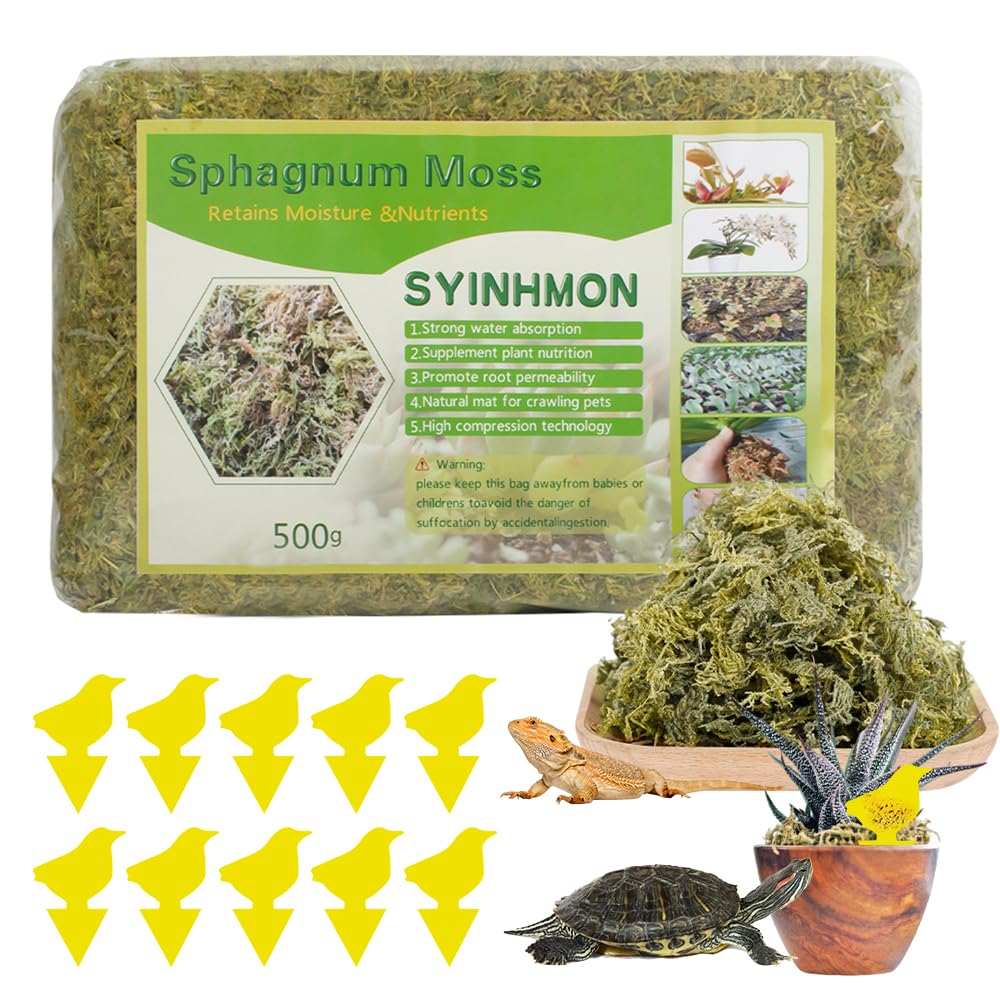 500 g Musgo Sphagnum, XPJBKC Musgo para Orquideas, Musgo Natural para Plantas, Sustrato Orquideas Sustrato Bonsai para Orquídeas, Plantas, Decoración de Musgo, Enraizamiento de Esquejes
