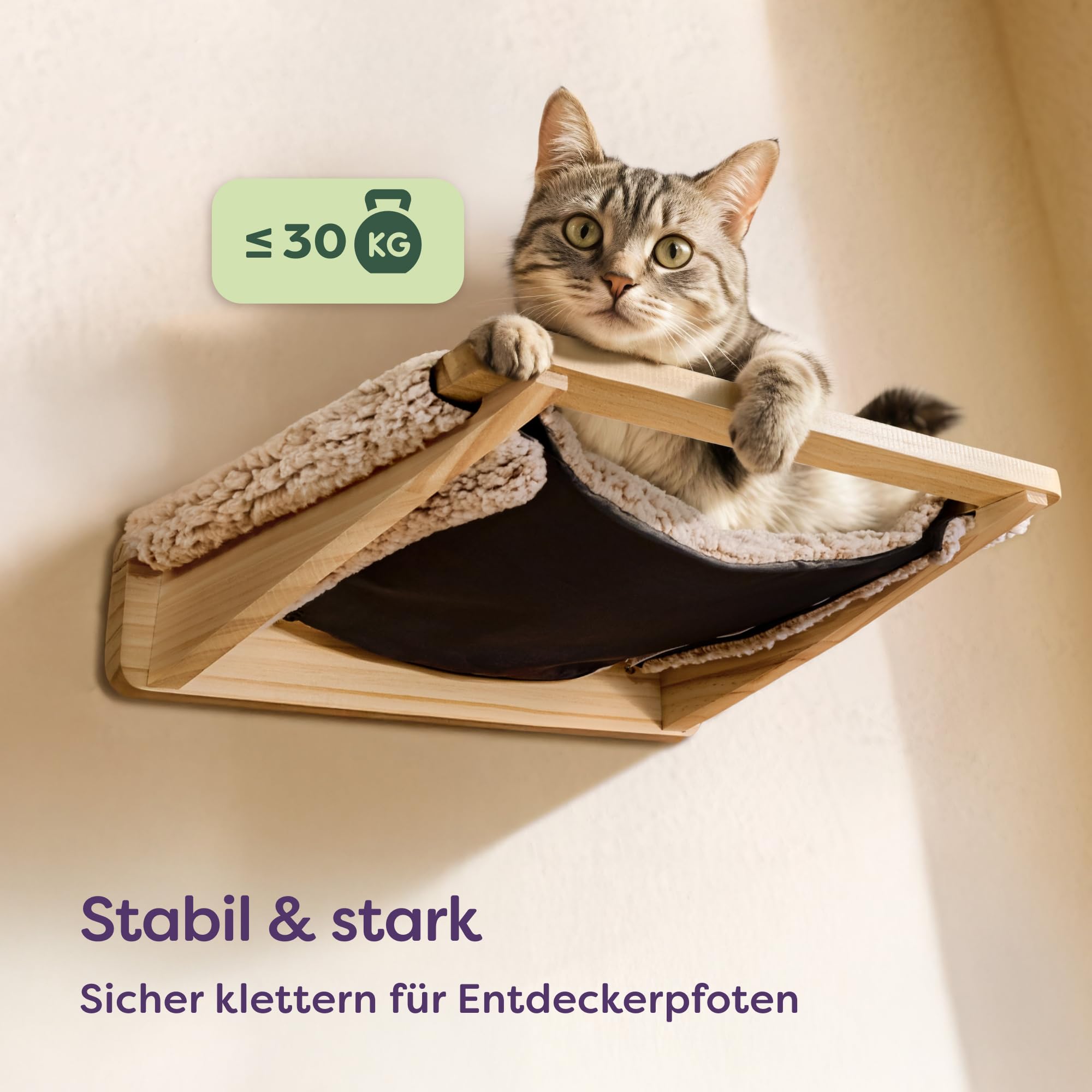 Knupis Katzen Kletterwand Set mit Hängematte & 2X Katzentreppe – massives Kiefernholz, stabile Wandliege bis 30 kg – Für Spielspaß & Gemütlichkeit
