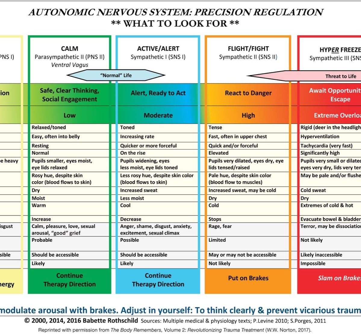 Autonomic Nervous System Table – Laminated Card