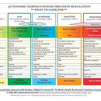 Autonomic Nervous System Table Laminated Card