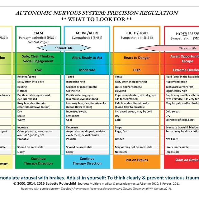 Portada de Autonomic Nervous System Table: Laminated Card