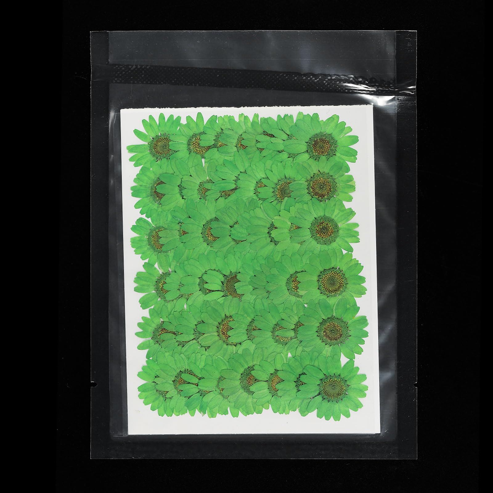 PATIKIL 48 Pcs Dried Pressed Flower Natural Dried Daisy Flower for DIY Art Crafts House Decoration Nails Decoration,Dark Green - Image 4