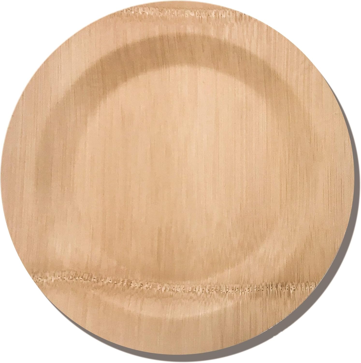 Bamboo Disposable Plates 11inch, 25pack by Bambusa Health & Household