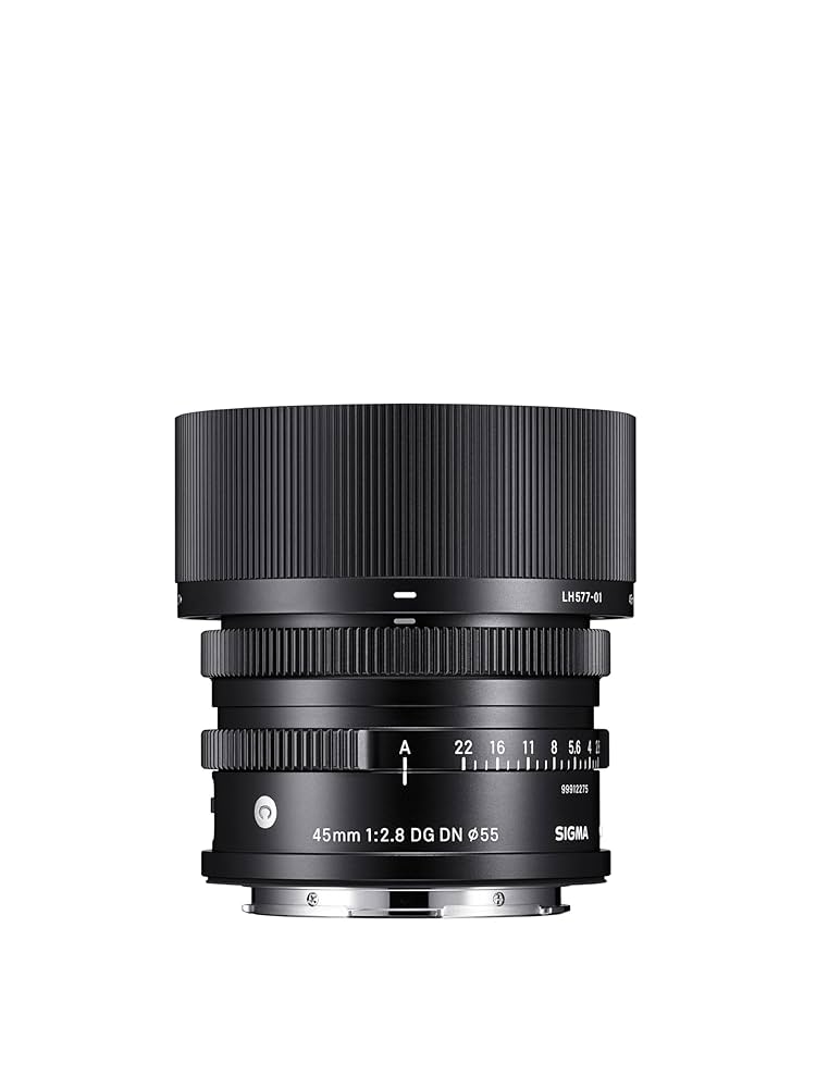 Sigma 45mm F2.8 DG DN Contemporary für L-Mount: Amazon.de