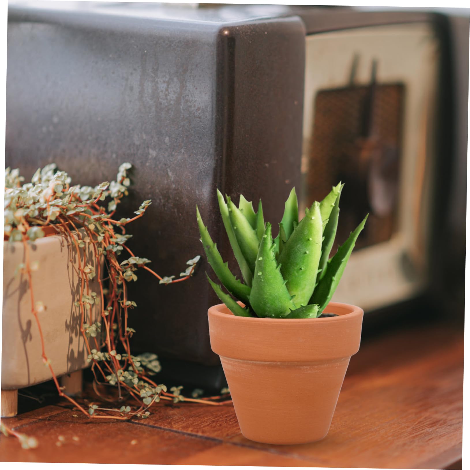 Sosoport 70 STK Terrakotta-Topf rustikaler Übertopf Kaktus Pflanzgefäße Blumentopf aus Terrakotta Blumendekor pflanzenanzucht ton basteln Mini blumentopf Blumentöpfe Vase Mini-Pflanztöpfe