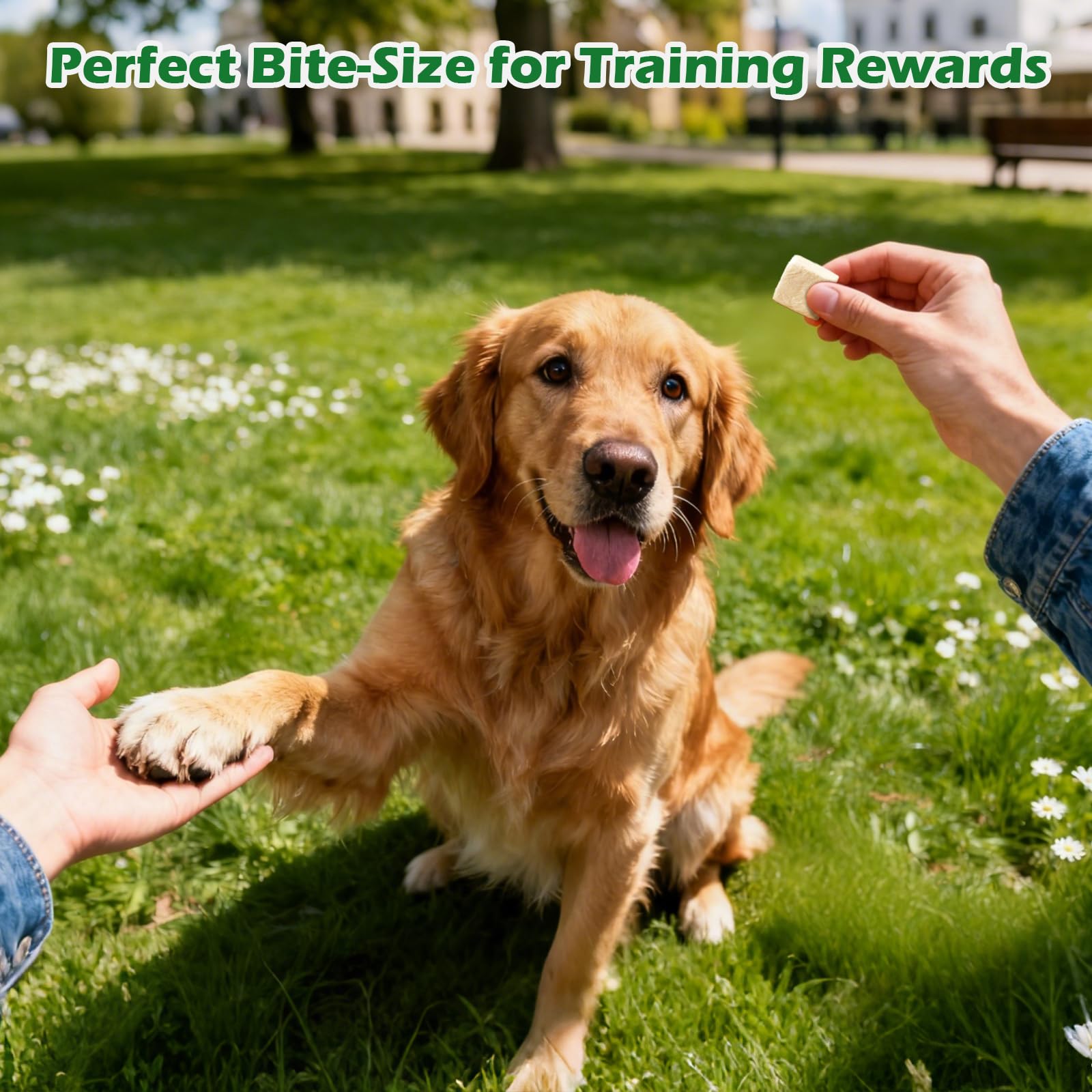 Freeze Dried Chicken Cat & Dog Treats 14.5 oz – Single Ingredient, High Protein Dry Chicken Pet Snacks, Grain-Free All Natural, Healthy Training Treats or Food Topper