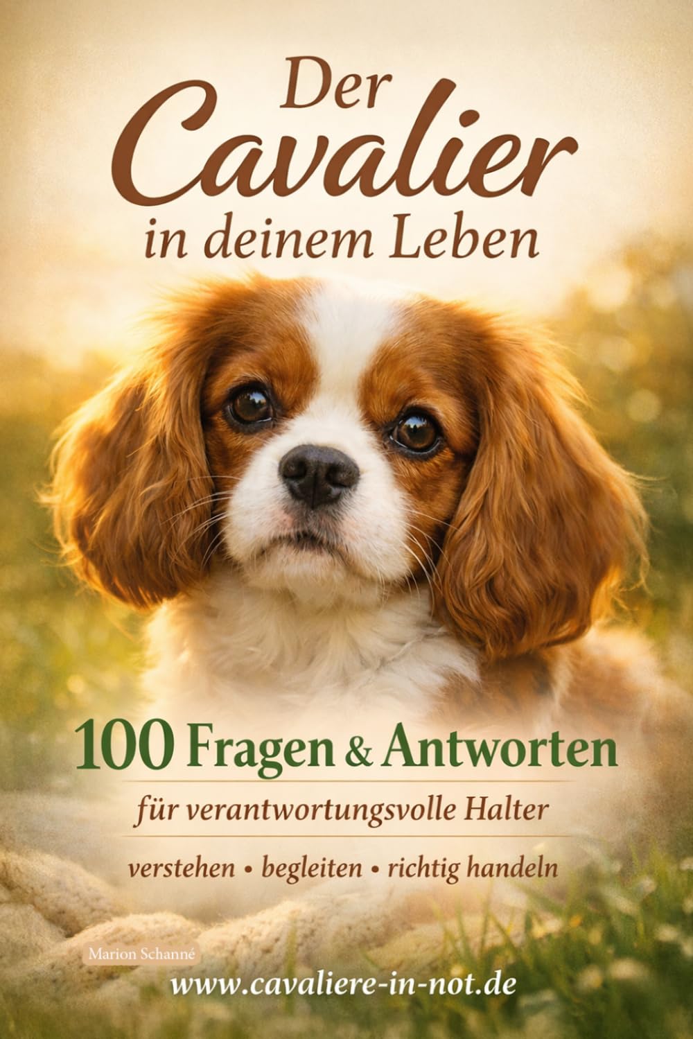 Der Cavalier in deinem Leben: 100 Fragen & Antworten für verantwortungsvolle Halter