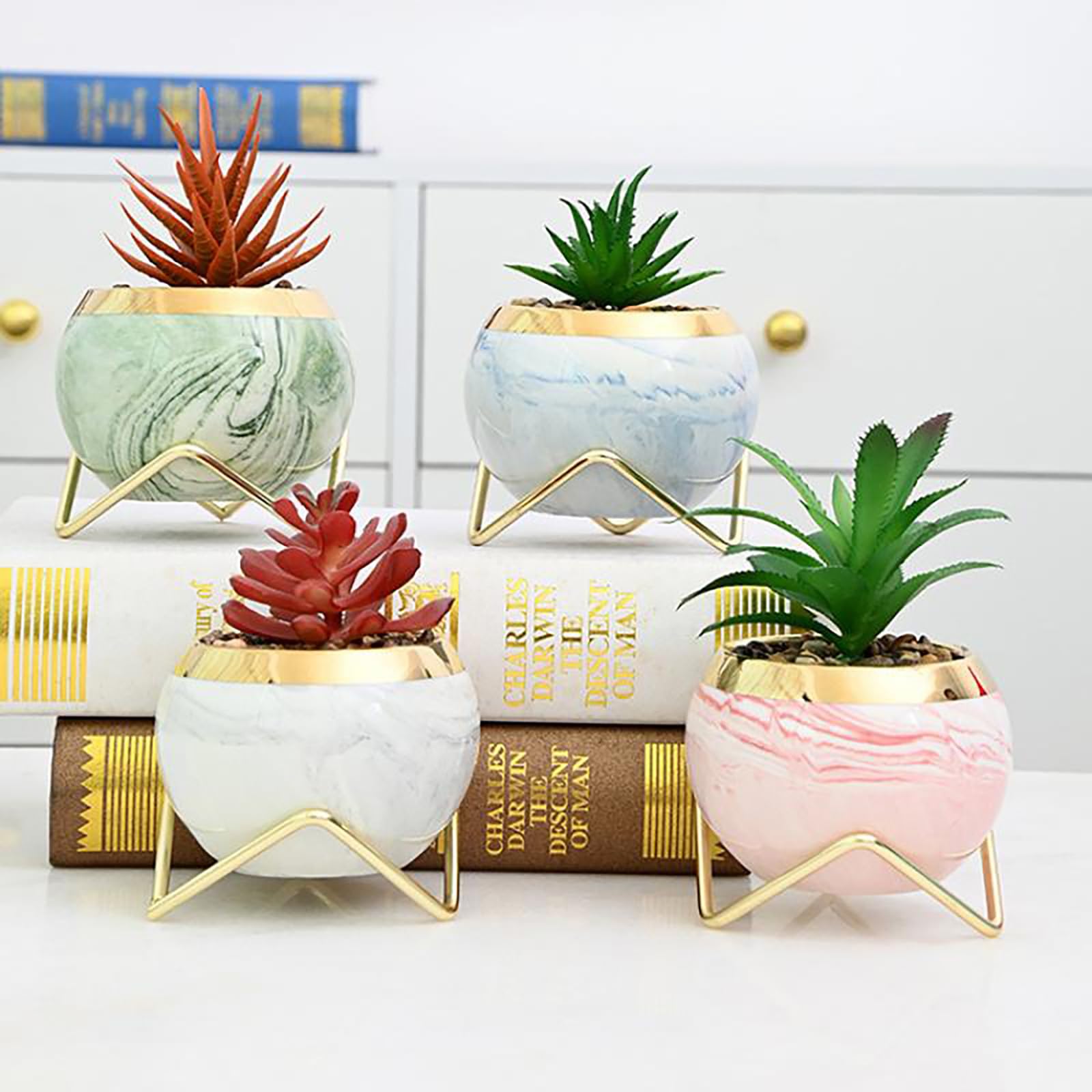 Amazon.com: Simcat Succulent Pots with Drainage and Stands Mini