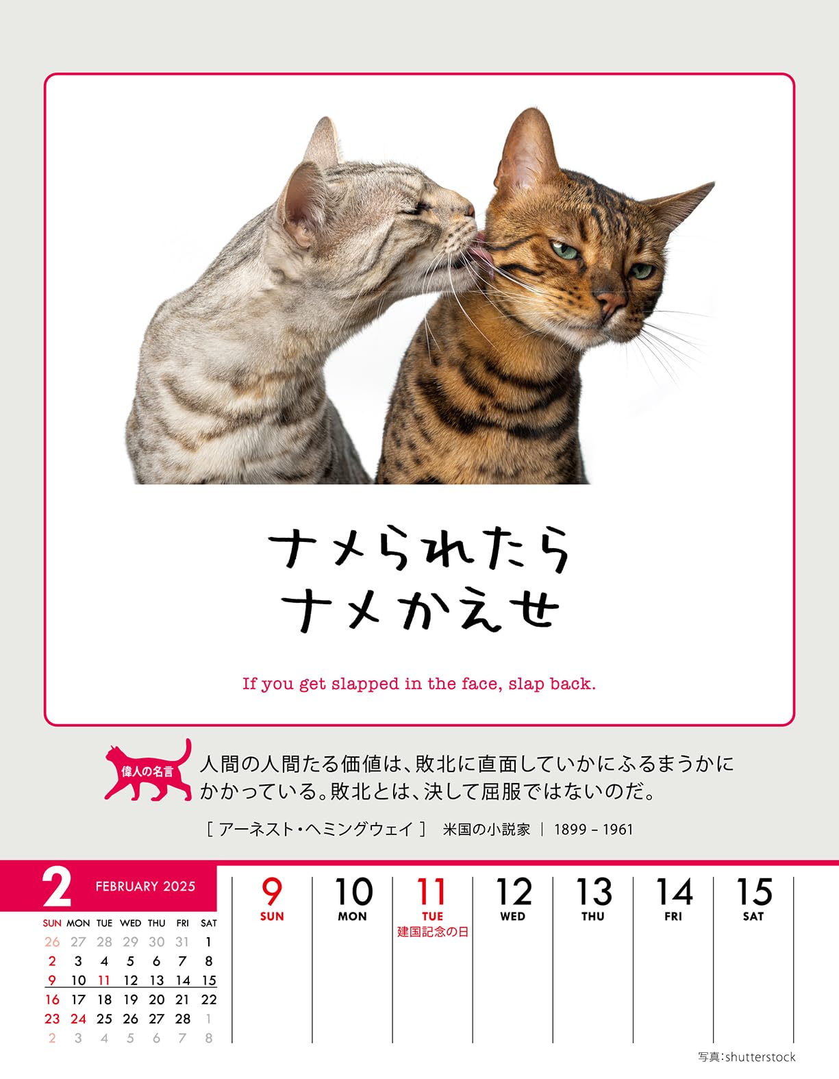 【新品】名前はまだない。 猫 2025 卓上カレンダー直筆サイン入チェキ 2025年 あおオリジナル猫絵画 卓上カレンダー | art shop KURUTON